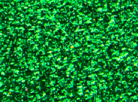 Foamy Diamantina Pliego - Verde Oscuro
