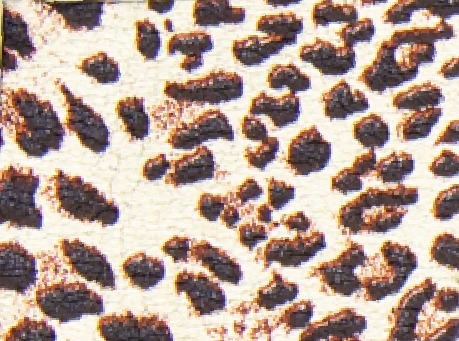 Foamy Estampado Pliego -Leopardo
