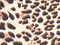 Foamy Estampado Pliego -Leopardo